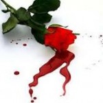 Blogger Bicara Sex, Tabu Tak Lagi Ragu